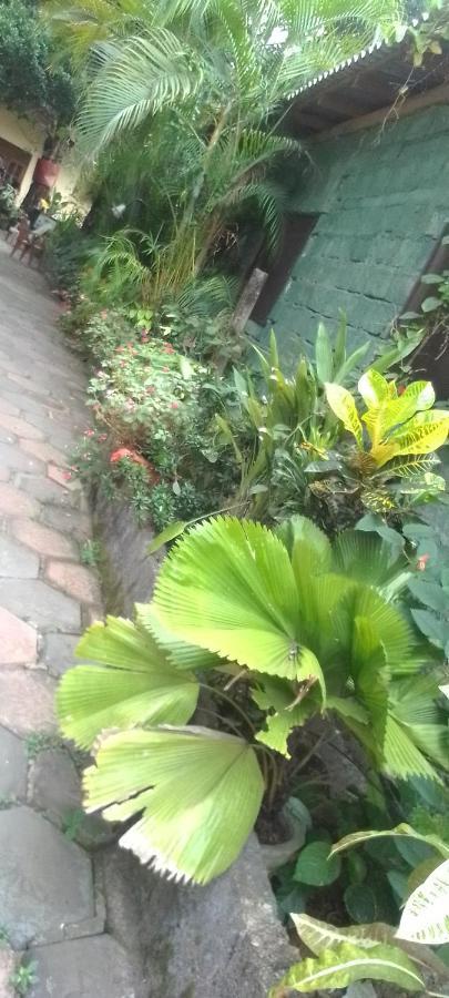 Flower Inn Sigiriya Ngoại thất bức ảnh